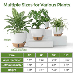 LifeNest 12-inch pot showcasing a monstera plant in a living room