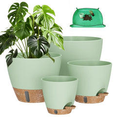 LifeNest 12-inch self-watering plant pot in green