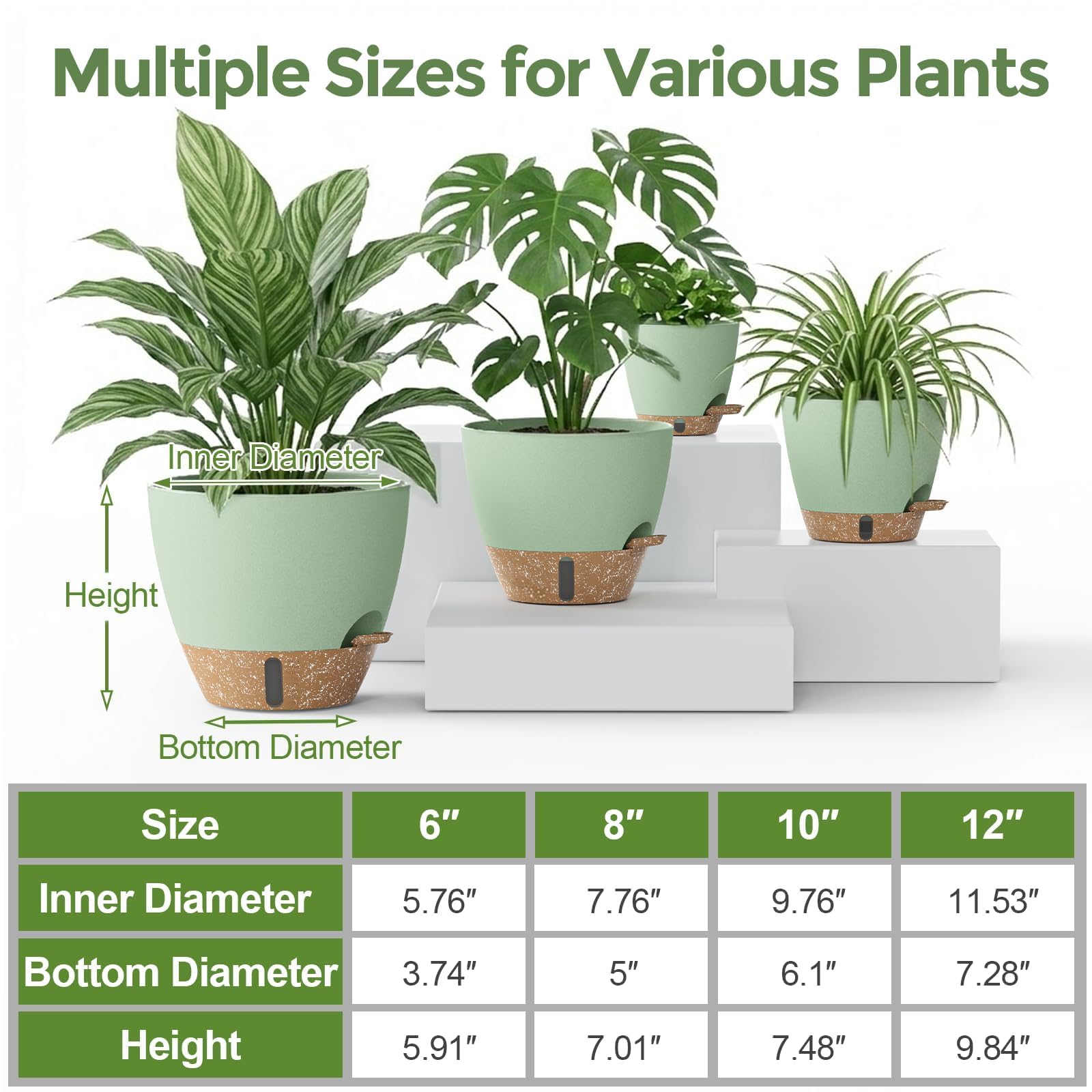 LifeNest 6-inch self-watering plant pot with water level indicator