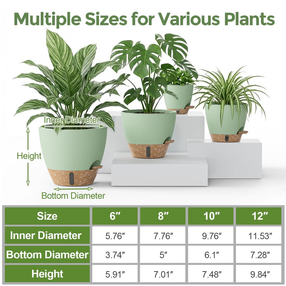 LifeNest 6-inch self-watering plant pot with water level indicator