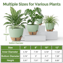 LifeNest 6-inch self-watering plant pot with water level indicator