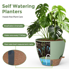 LifeNest 8-inch plant pot displaying modern design