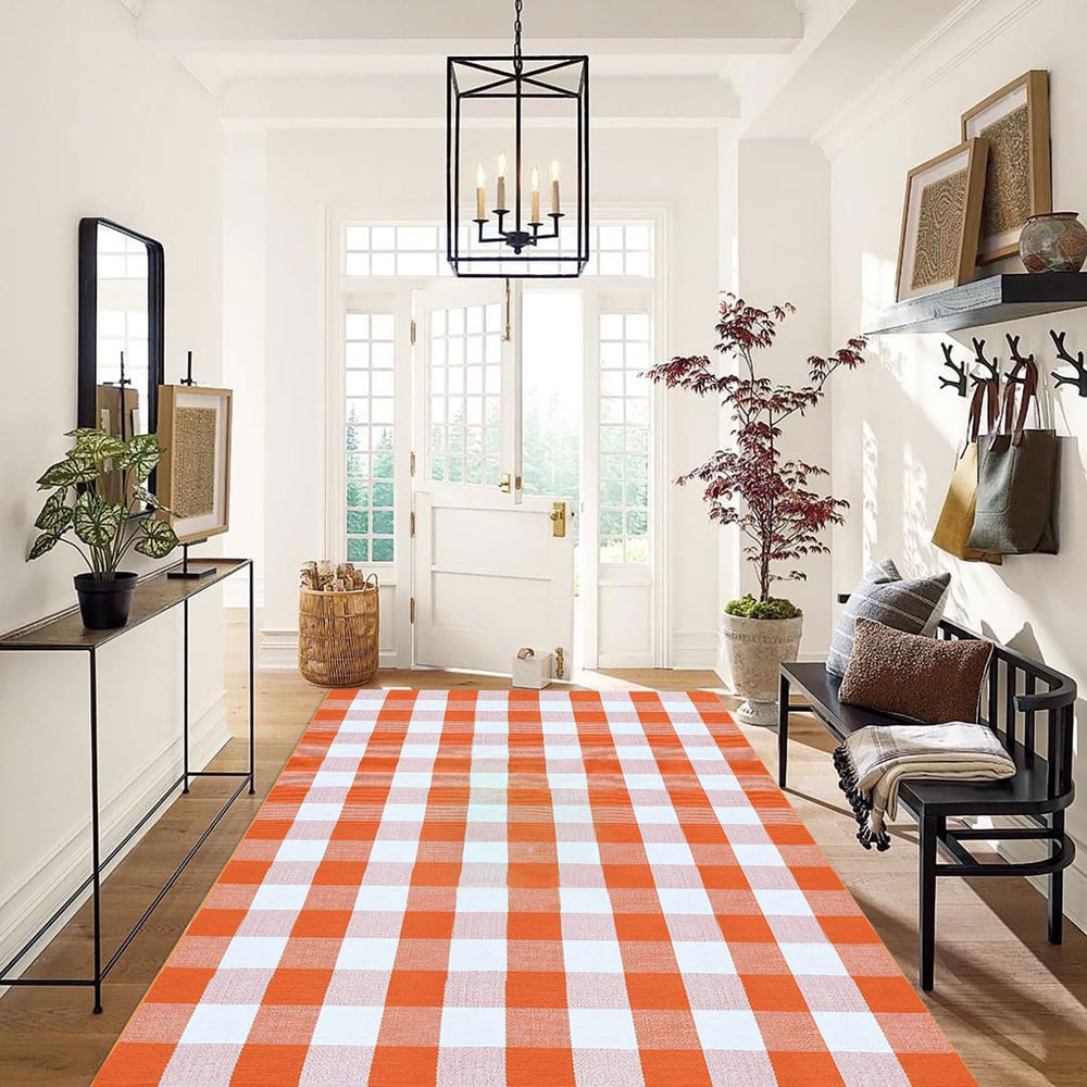 Lifestyle image of CAINANEL rug at front door