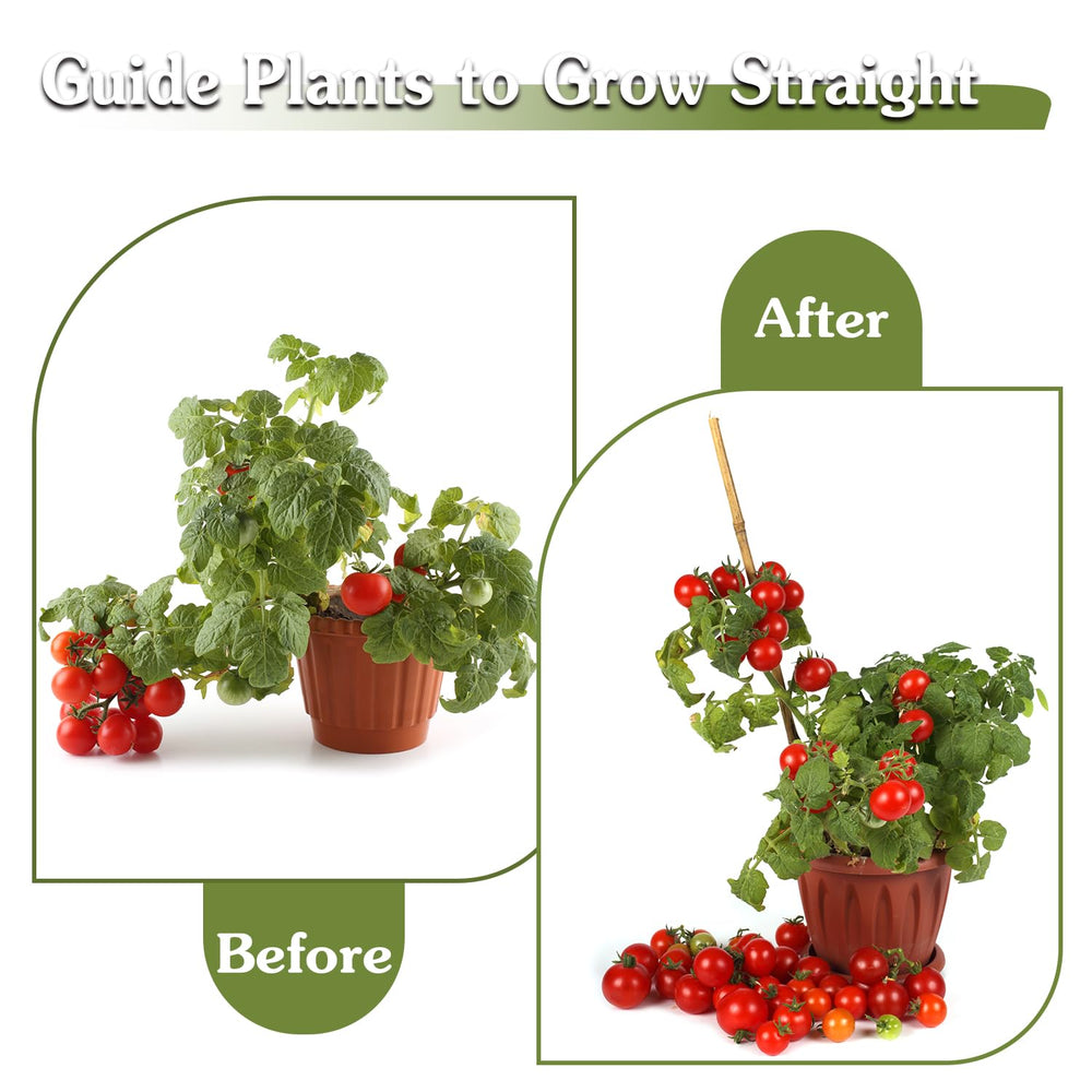 Lifestyle image of HAINANSTRY stakes used in a flower pot