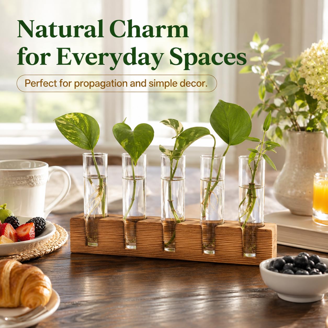 Lifestyle image of Renmxj plant propagation station in a bright room