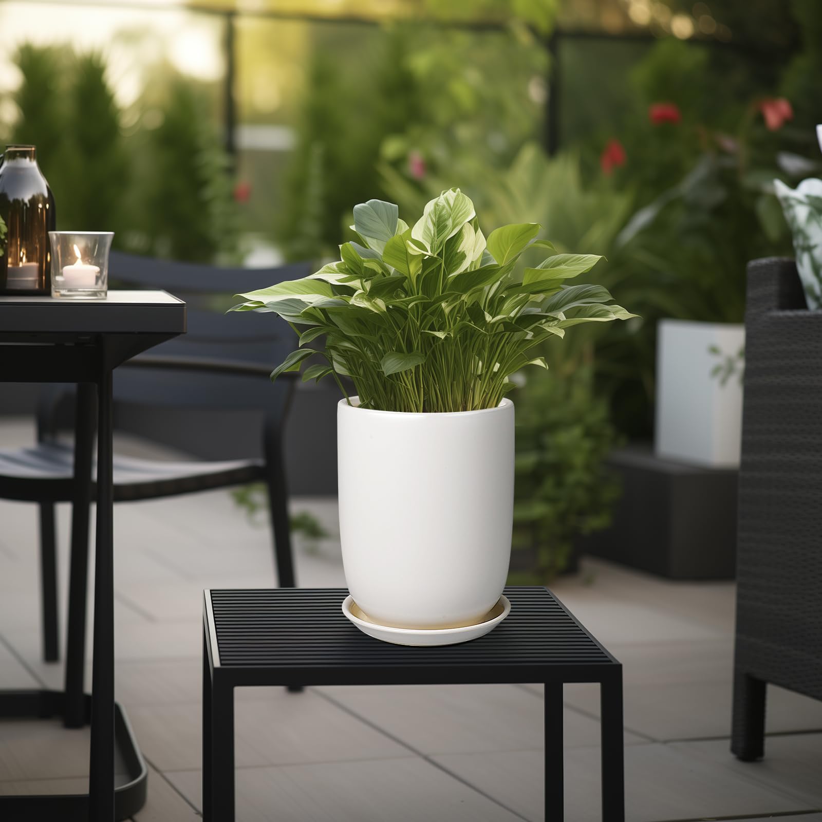 Lifestyle image of SUNPOTFOR 8 Inch Ceramic Planter with indoor plants