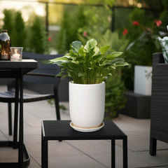Lifestyle image of SUNPOTFOR 8 Inch Ceramic Planter with indoor plants