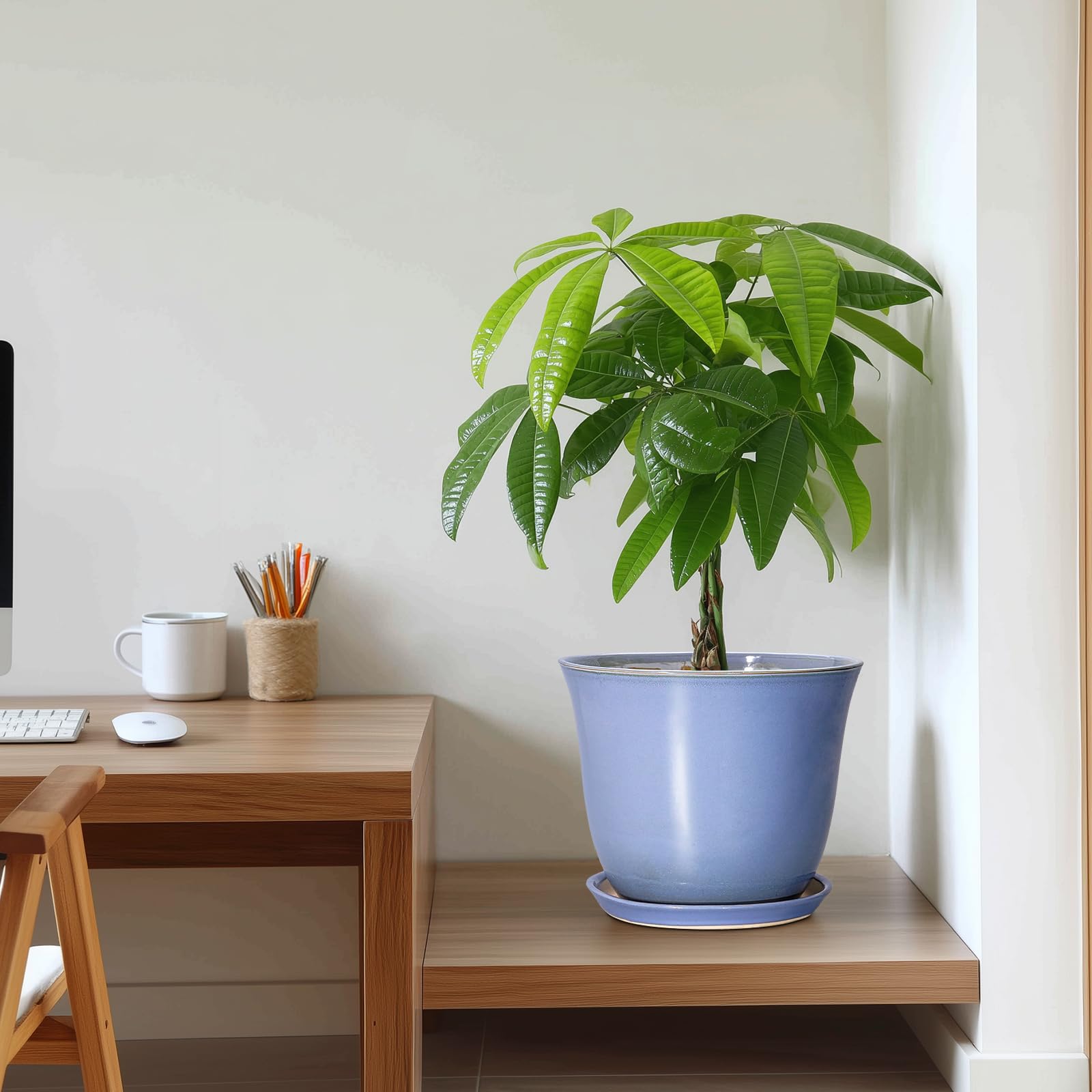 Lifestyle image of SUNPOTFOR Ceramic Plant Pot in home setting