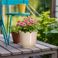 Lifestyle image of SUNPOTFOR Ceramic Pot in a Living Room