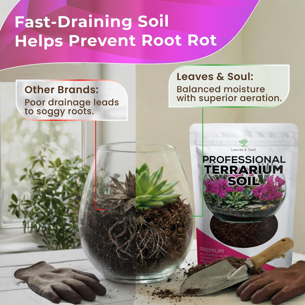 Lifestyle image of terrarium with Leaves and Soul soil