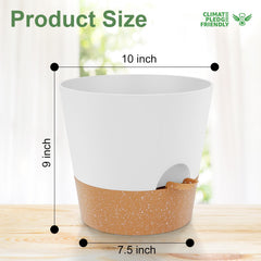 Lifestyle image of YNNICO 10 inch plant pots with indoor plants