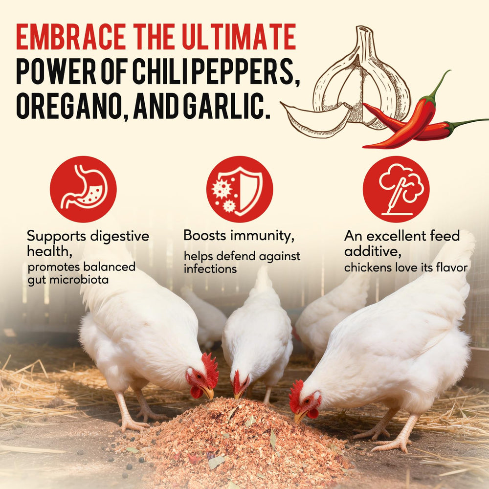 Lifestyle scene of birds enjoying Jqely Chicken Dewormer Powder