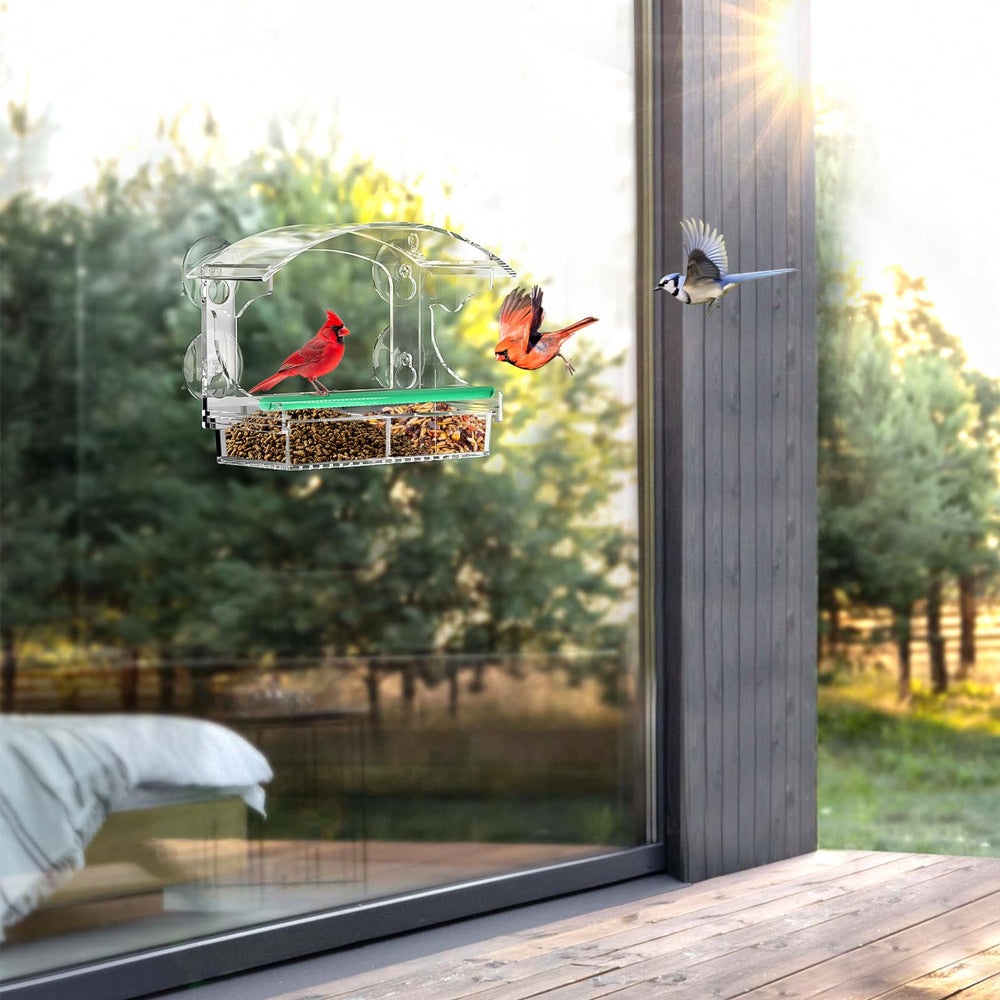 Lifestyle scene of BPYOT Bird Feeder in backyard setting