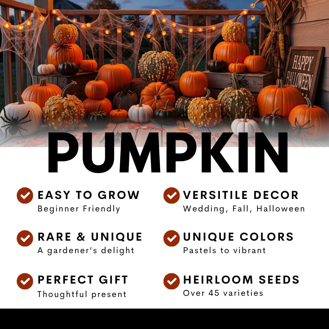 Lifestyle scene of planting pumpkin seeds outdoors