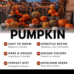 Lifestyle scene of planting pumpkin seeds outdoors
