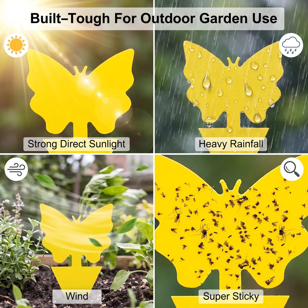 Lifestyle scene of Stingmon Yellow Sticky Gnat Traps outdoors