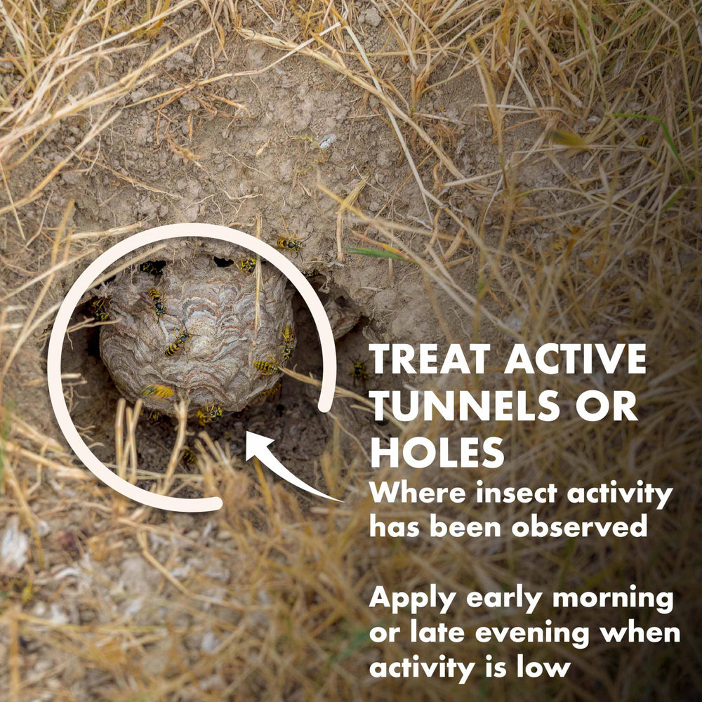 Lifestyle scene of using Spectracide Carpenter Bee Killer in the garden