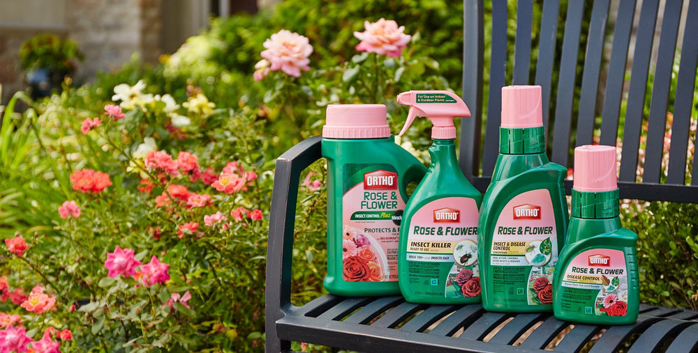 Lifestyle scene showing Ortho Rose and Flower Insect Killer in a garden