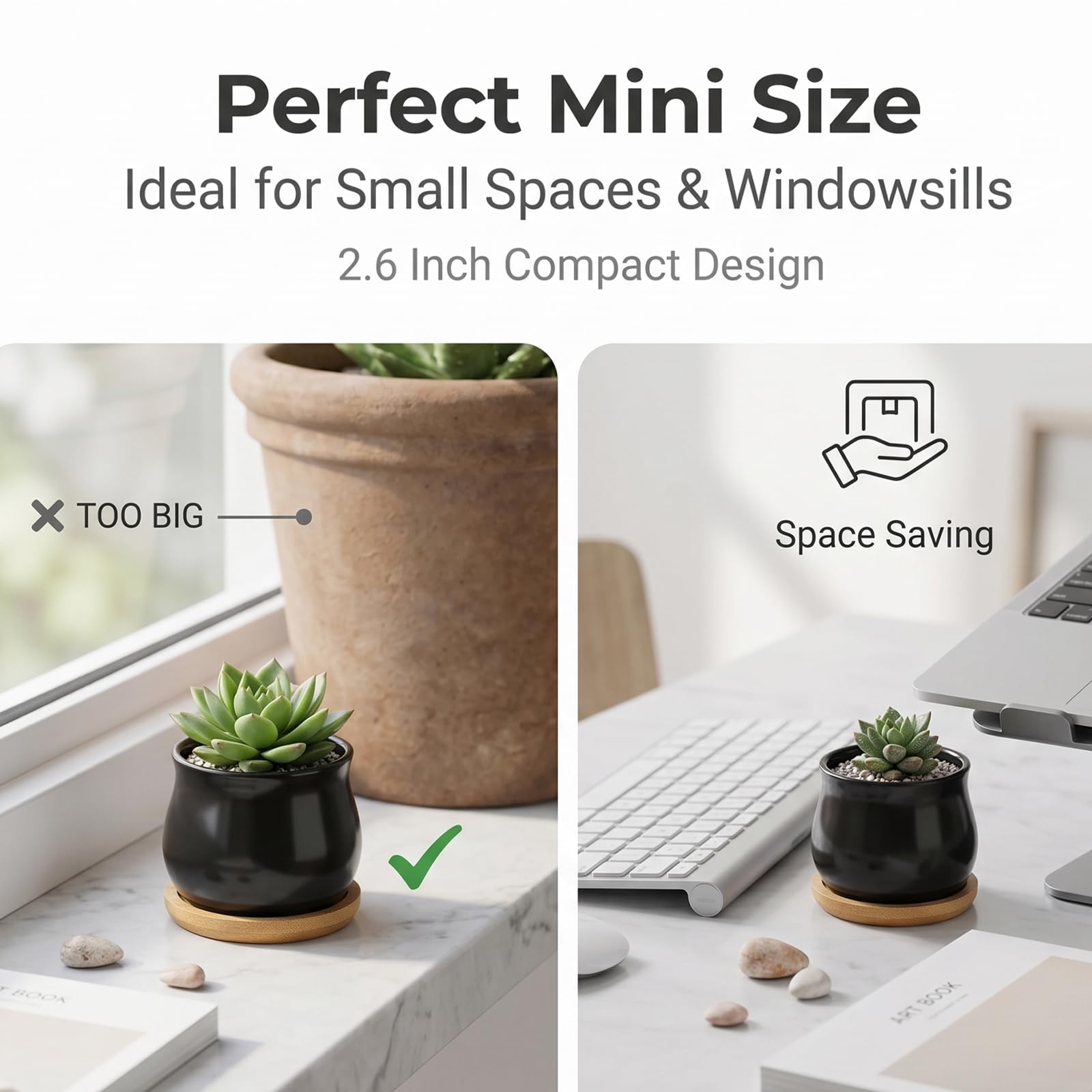 Lifestyle scene with SHECIPIN succulent pots outdoors
