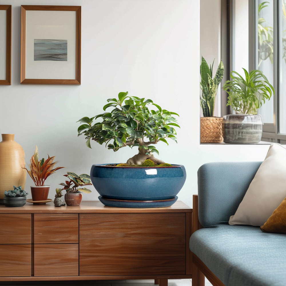 Lifestyle scene with SQOWL Bonsai Pot in garden