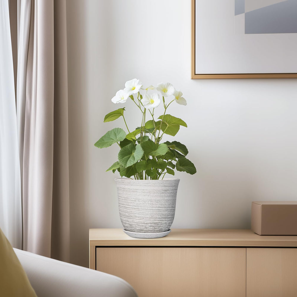 Lifestyle scene with SUNPOTFOR Ceramic Plant Pot in a home setting