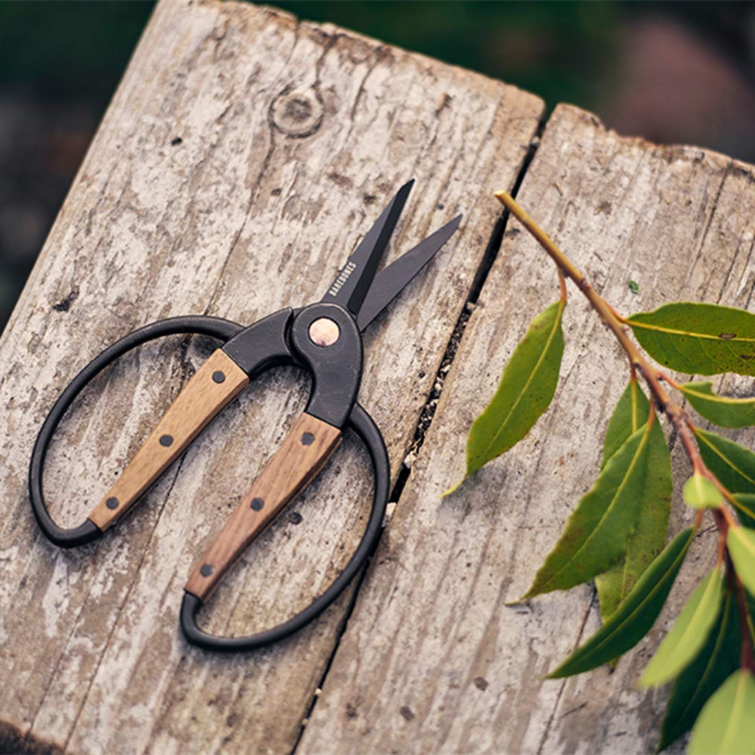 Lifestyle shot of Barebones Garden Scissors in a garden setting