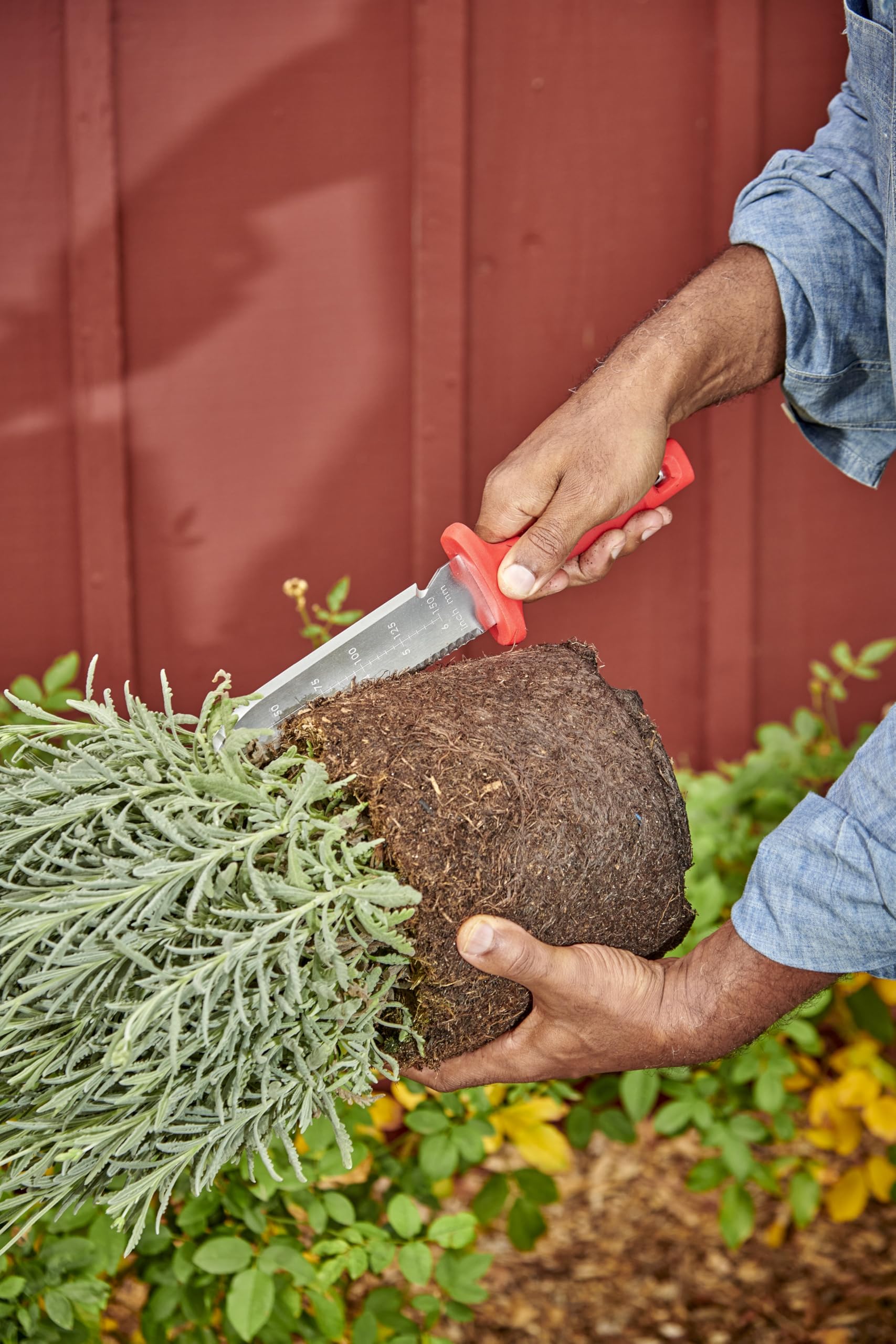 Lifestyle shot of Corona Hori Garden Knife in a garden setting