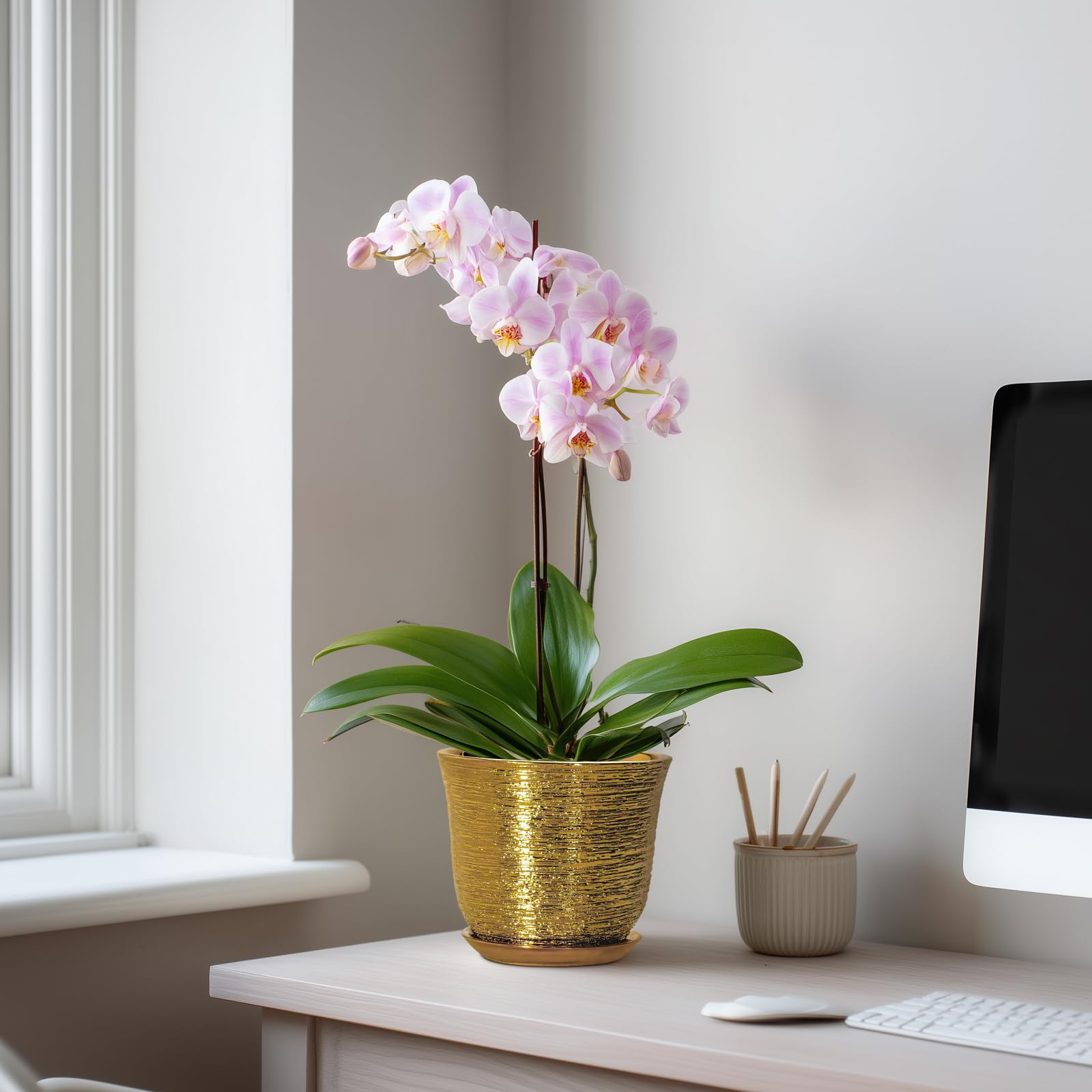 Lifestyle shot of SUNPOTFOR Ceramic Plant Pot in living room