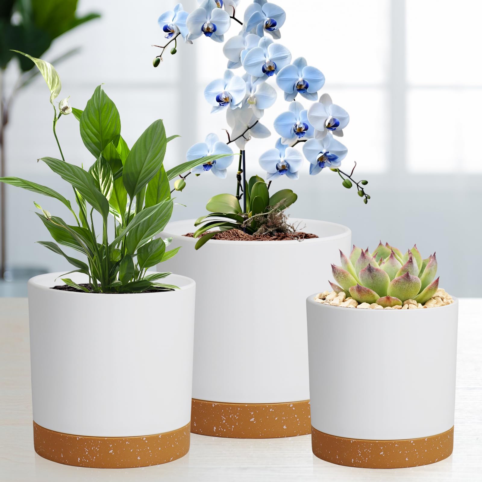 Lifestyle shot of WSMKSZ flower pots in an outdoor garden setting