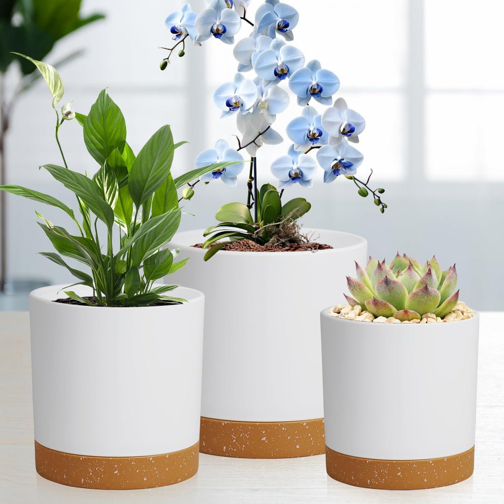 Lifestyle shot of WSMKSZ flower pots in an outdoor garden setting