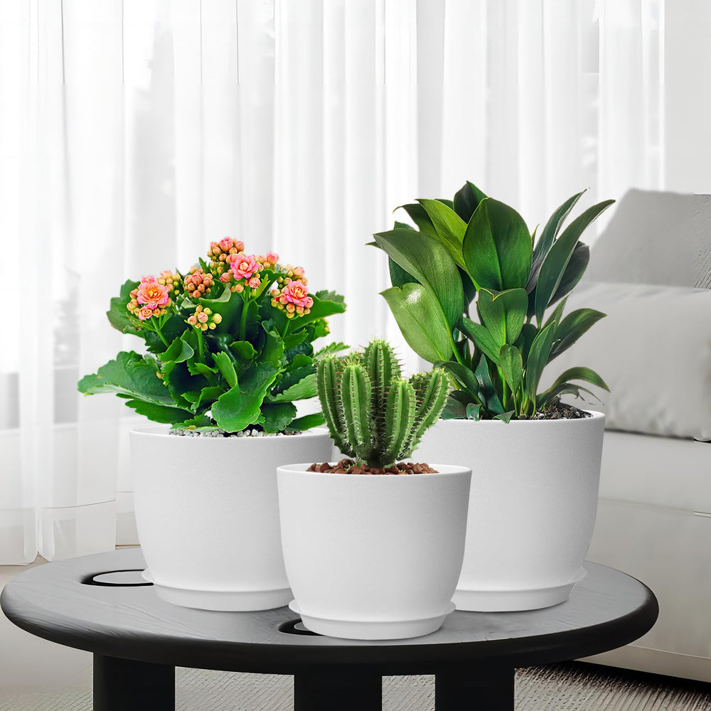 Lifestyle shot of WSMKSZ plant pots indoors