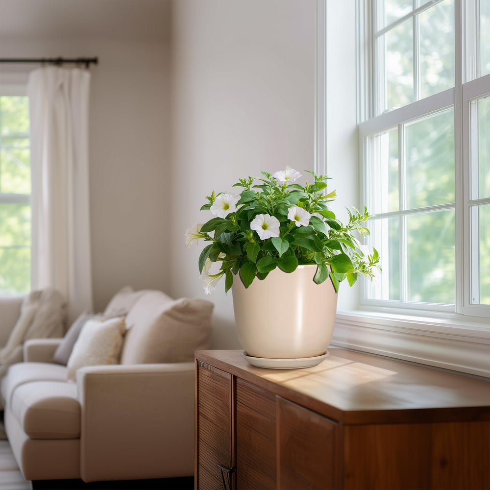 Lifestyle view of SUNPOTFOR plant pot in a living room