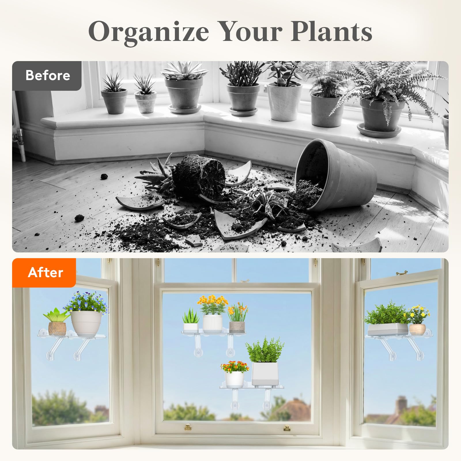 Lifewit plant shelf displaying herbs in the kitchen
