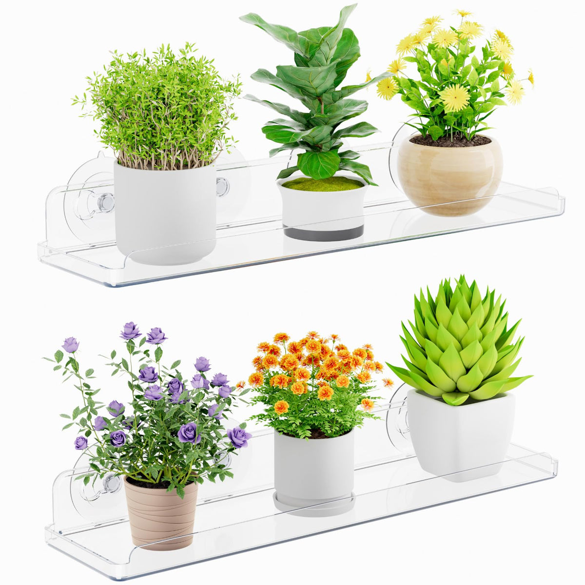 Lifewit Window Plant Shelf transparent front view