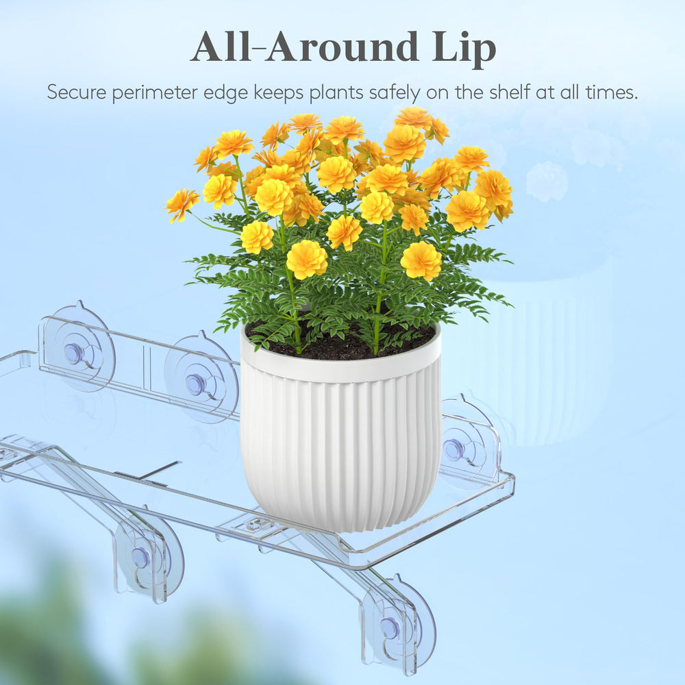 Lifewit Window Plant Shelves dimensions and specifications