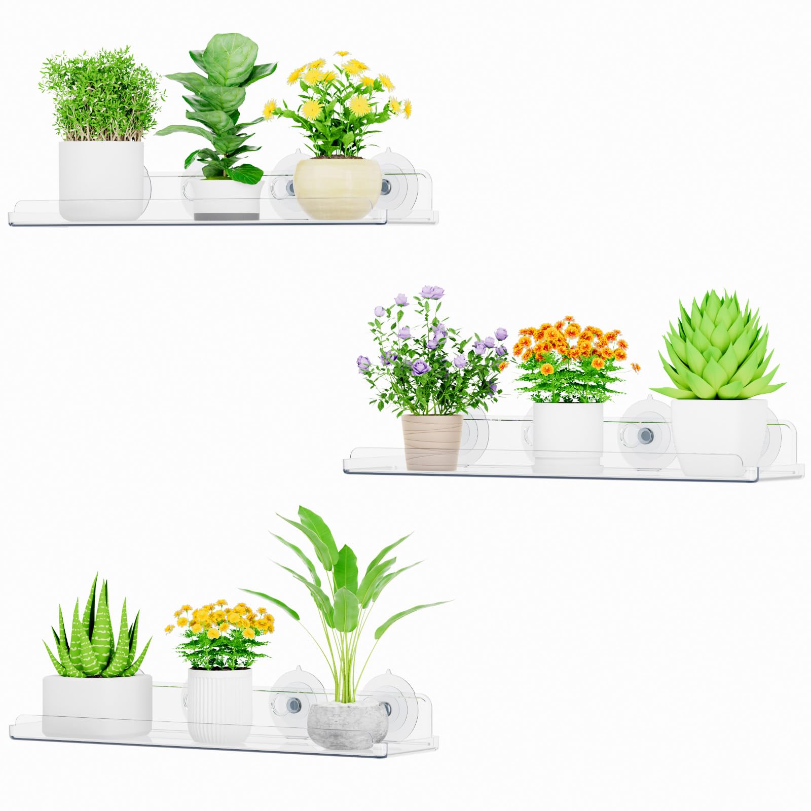 Lifewit Window Plant Shelves transparent design front view