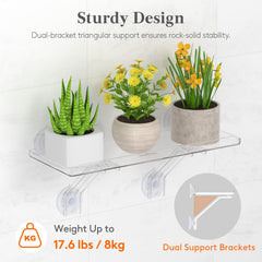 Lifewit window shelf showing multiple plant pots