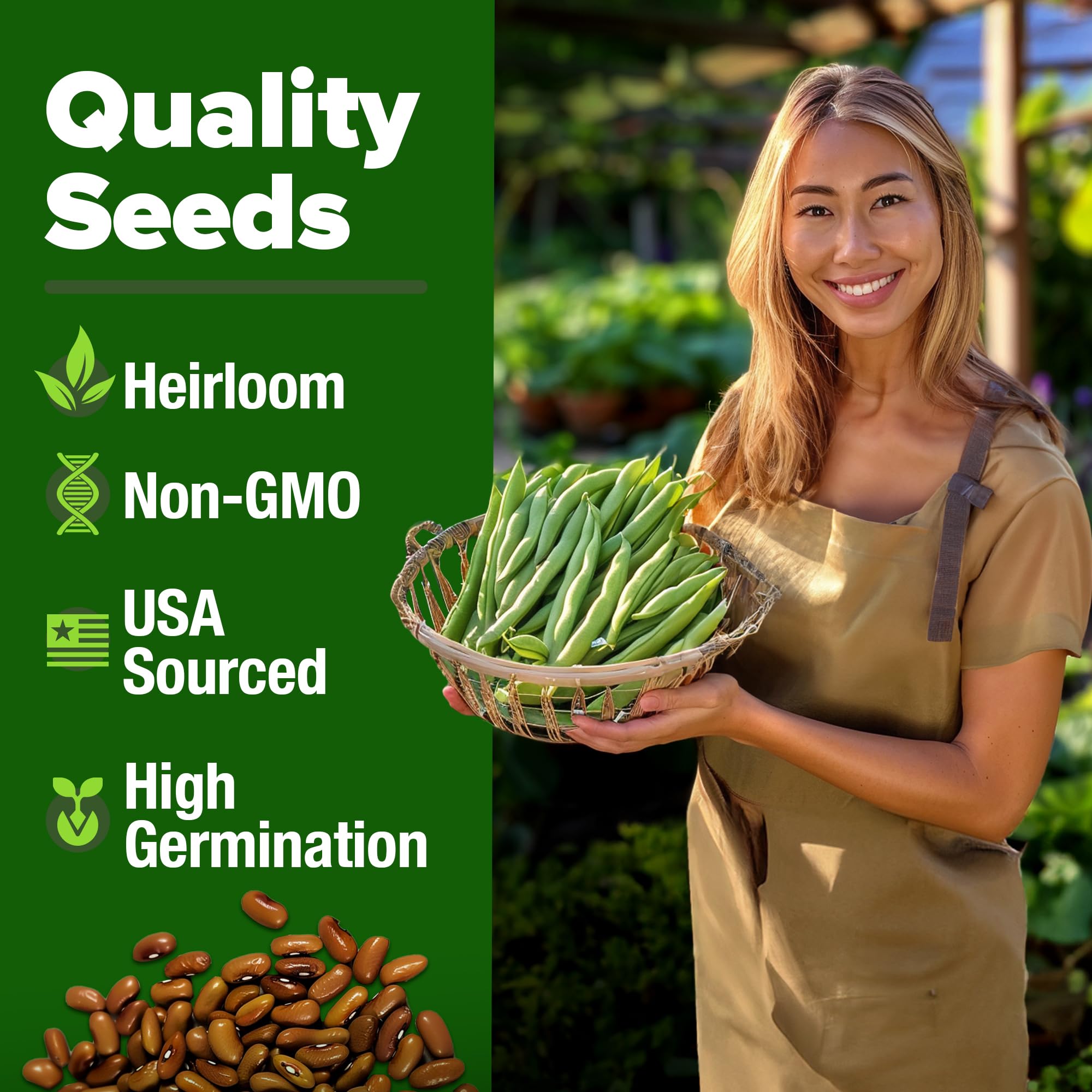 Light tan and yellowish-brown Contender Bush Bean Seeds