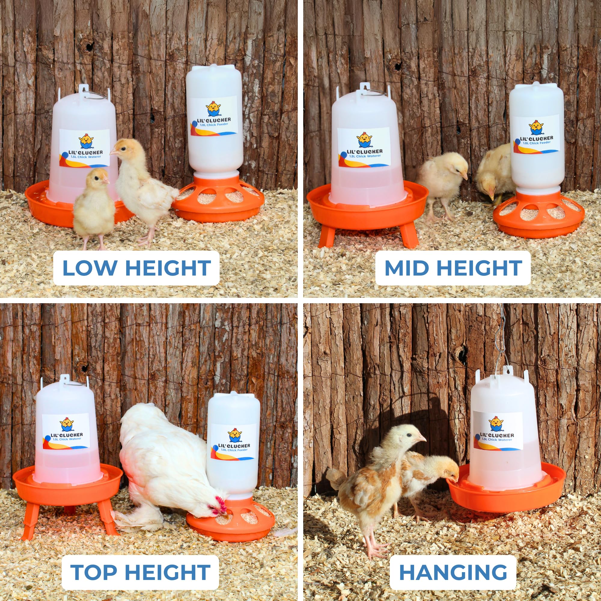 Lil'Clucker 1.5L chicken waterer with adjustable legs