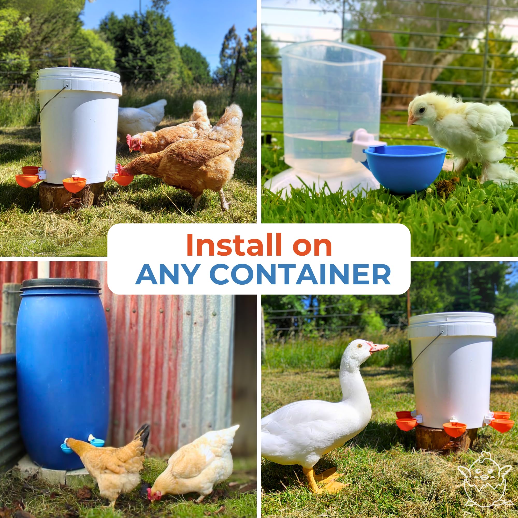 Lil'Clucker Automatic Chicken Waterer Cup close-up