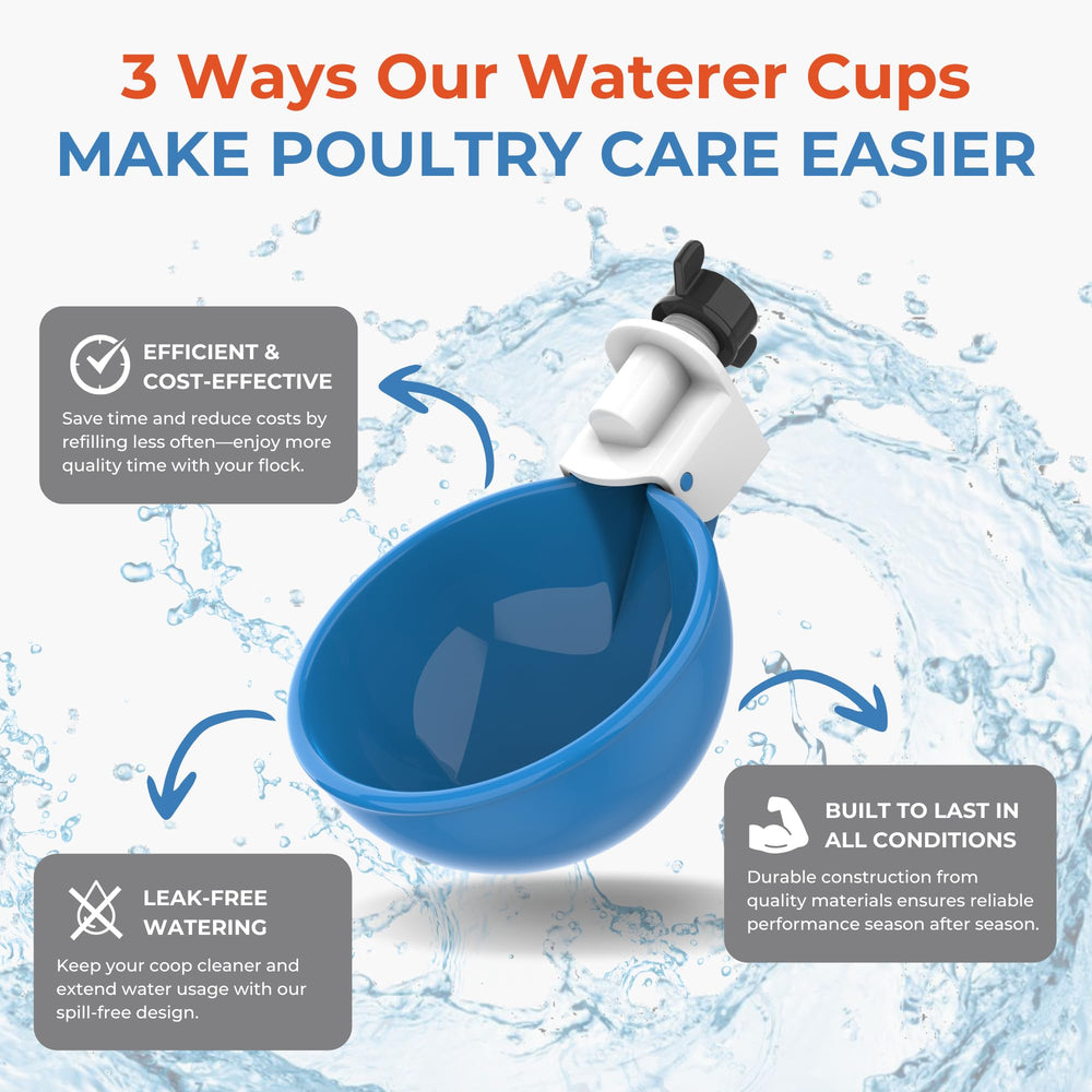 Lil'Clucker Automatic Chicken Waterer Cups displayed on a table