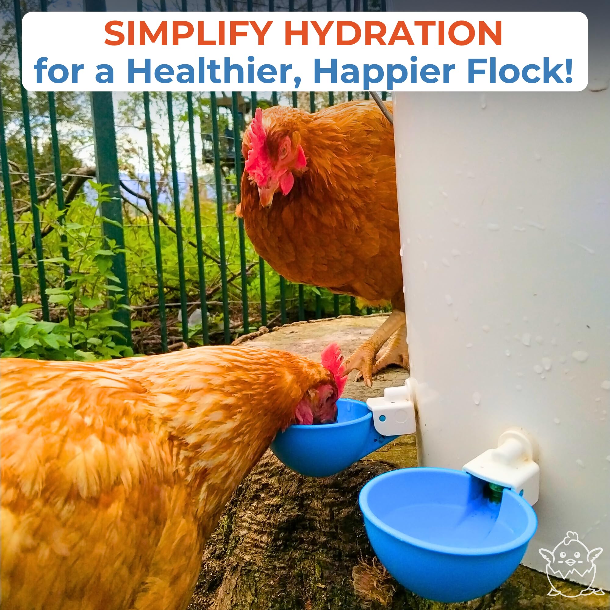 Lil'Clucker Automatic Chicken Waterer Cups pack of 5