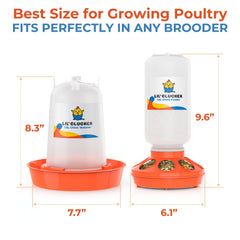 Lil'Clucker chick feeder and waterer set side view