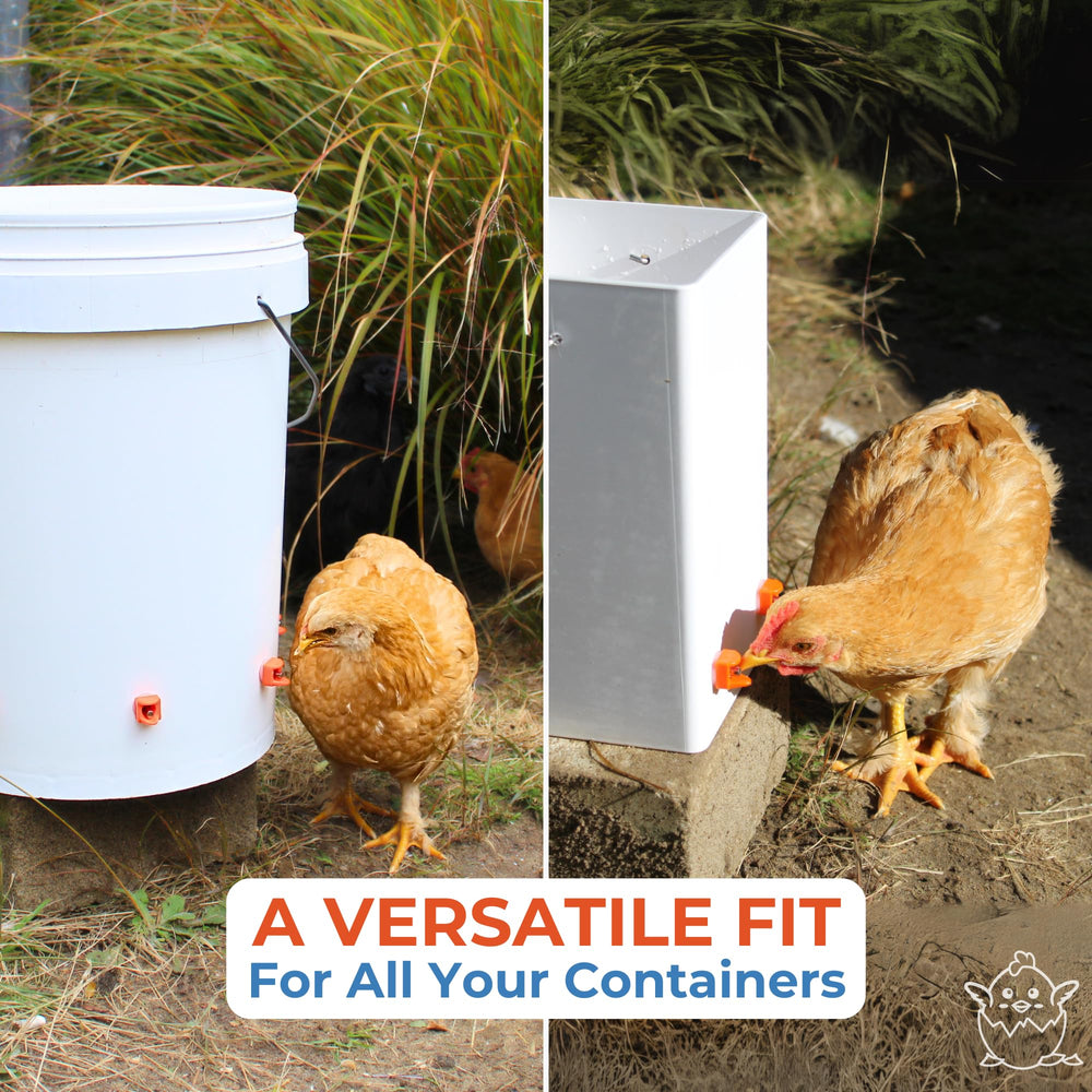 Lil'Clucker Chicken Waterer Nipples demonstrating clean water supply