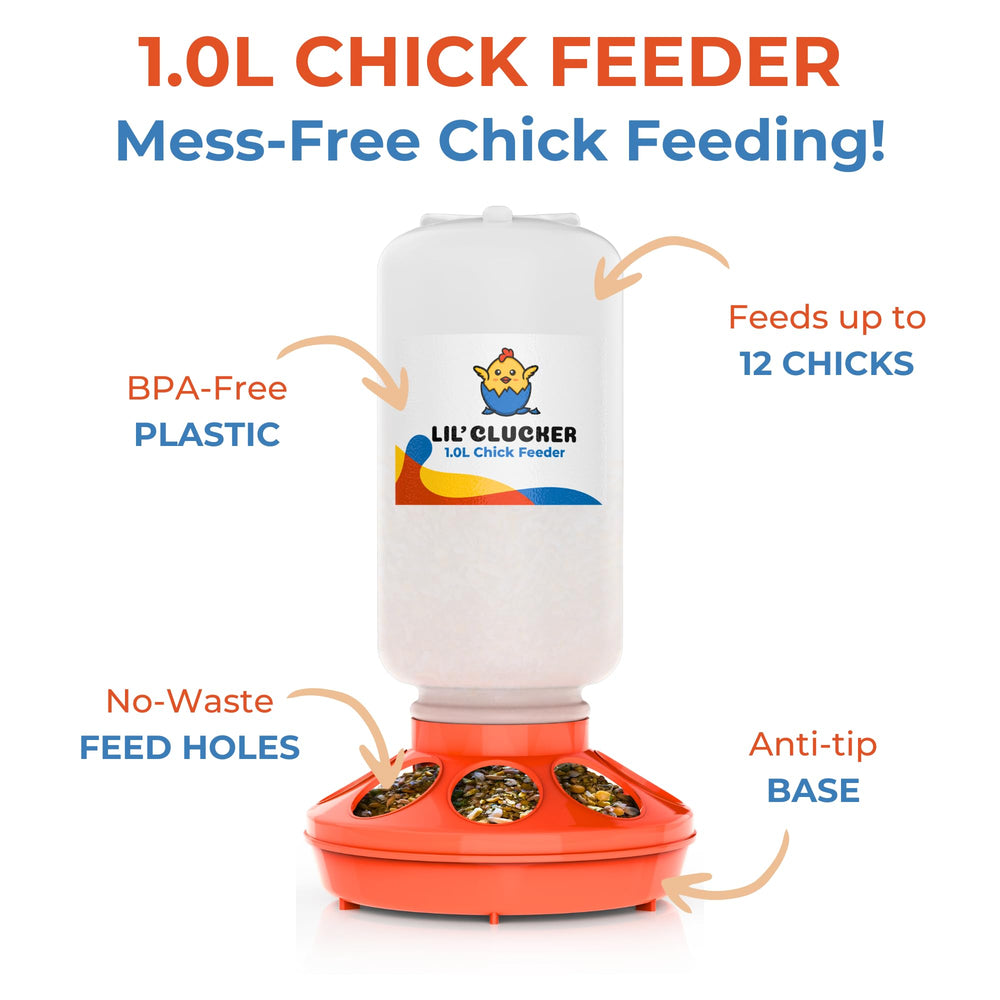 Lil'Clucker feeder and waterer set for small flocks