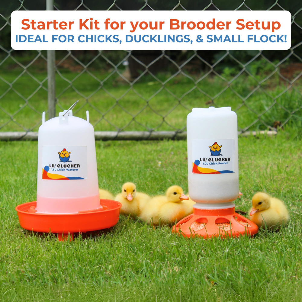 Lil'Clucker feeder with anti-tip base and feeding holes