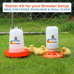 Lil'Clucker feeder with anti-tip base and feeding holes