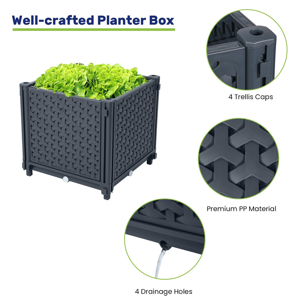 LINEX Raised Garden Bed with climbing plants on trellis