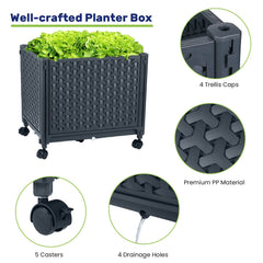 LINEX Raised Garden Bed with trellis and climbing plants