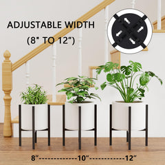 Linpla Adjustable Plant Stand showcasing height options